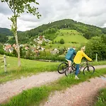 Hirschen Hotel 3*