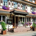 Hirschen