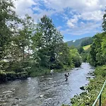 Hirschen Hotel 3*