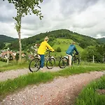 Hirschen 3* Oberwolfach