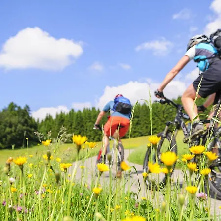 호텔 Hirschen 오베르볼파크