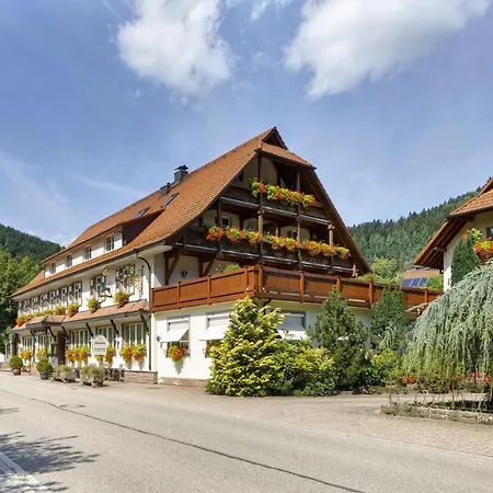 Hotel Hirschen 3*