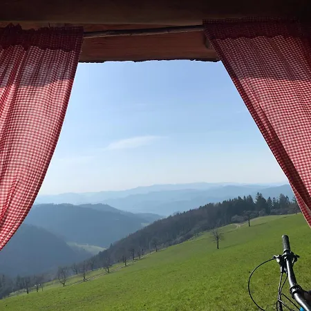 מלון Hirschen 3*