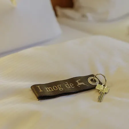 호텔 Hirschen 오베르볼파크