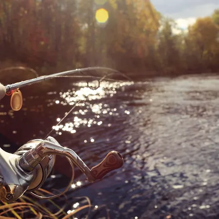 מלון Hirschen 3*