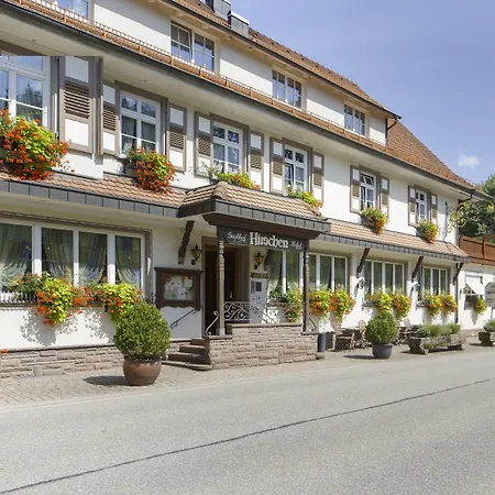 מלון Hirschen 3*