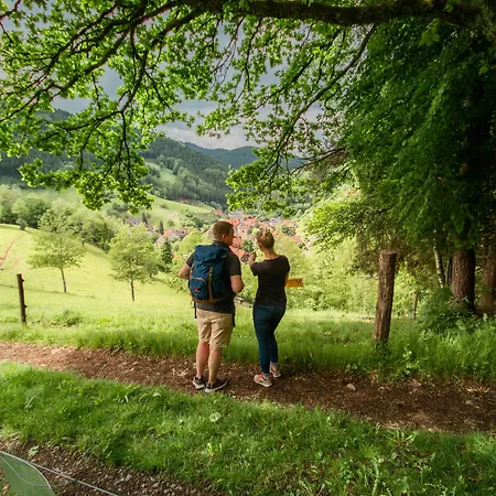 Hirschen Oberwolfach