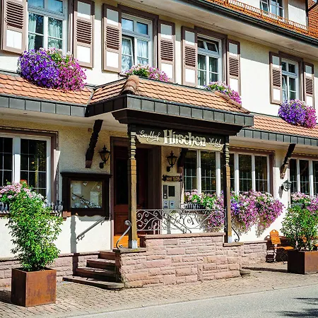 Hirschen