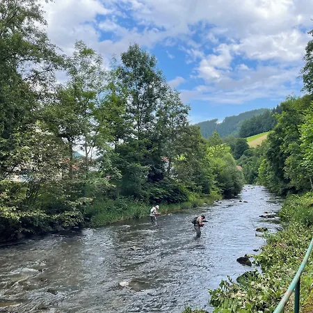 Hirschen מלון 3*