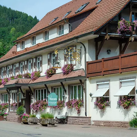 Hirschen Hotell 3*