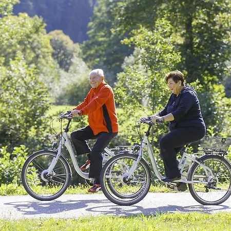 호텔 Hirschen 오베르볼파크