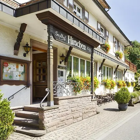 מלון Hirschen