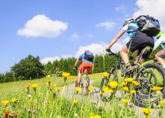 Hotel Hirschen Oberwolfach